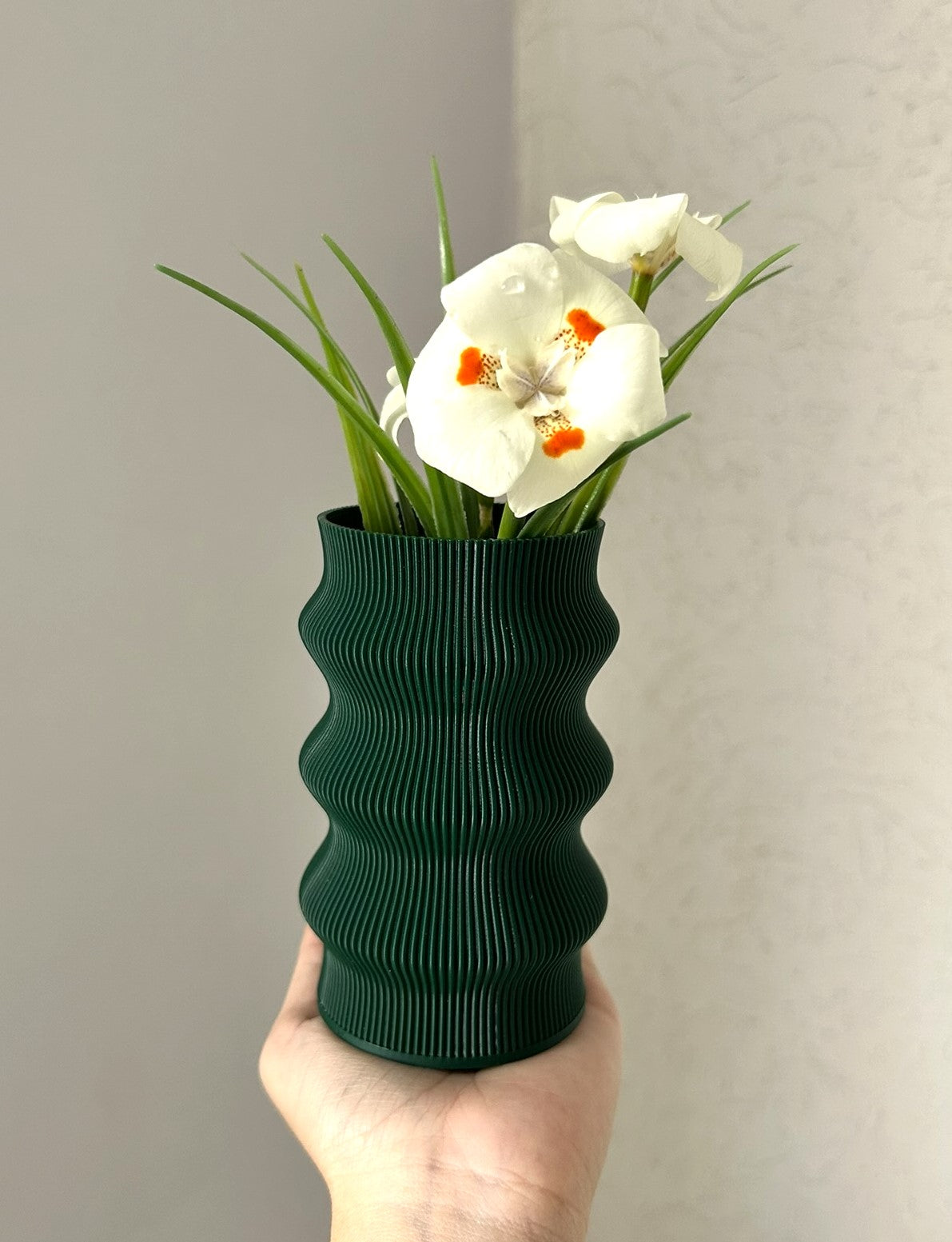 Mini Vaso Atlântico - Verde Escuro